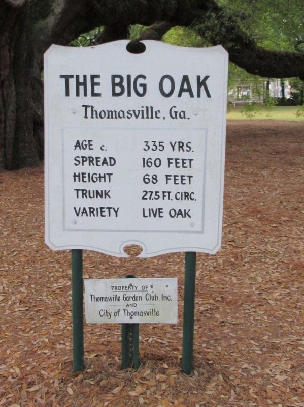 The Big Oak Marker. Click for full size. The Big Oak Marker image. Click for full size.