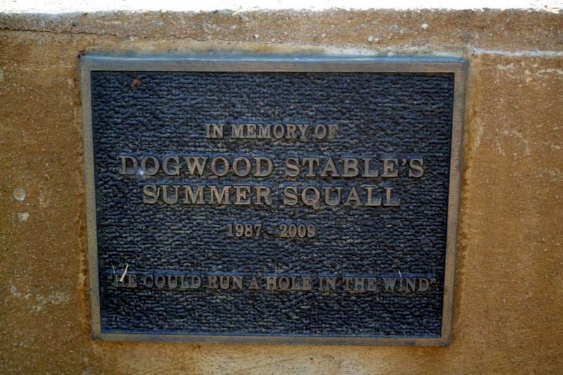 Summer Squall Memorial<br>Located on the Water Trough image. Click for more information.