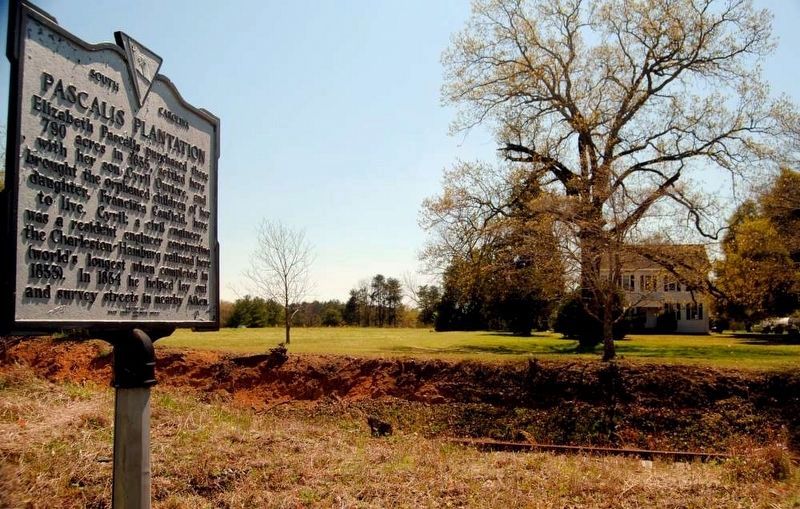 Pascalis Plantation and Marker. Click for full size. Pascalis Plantation and Marker image. Click for full size.