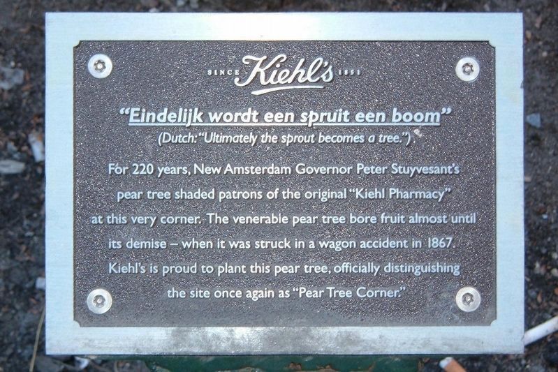 Petrus Stuyvesant's Pear Tree Marker. Click for full size. Petrus Stuyvesant's Pear Tree Marker image. Click for full size.