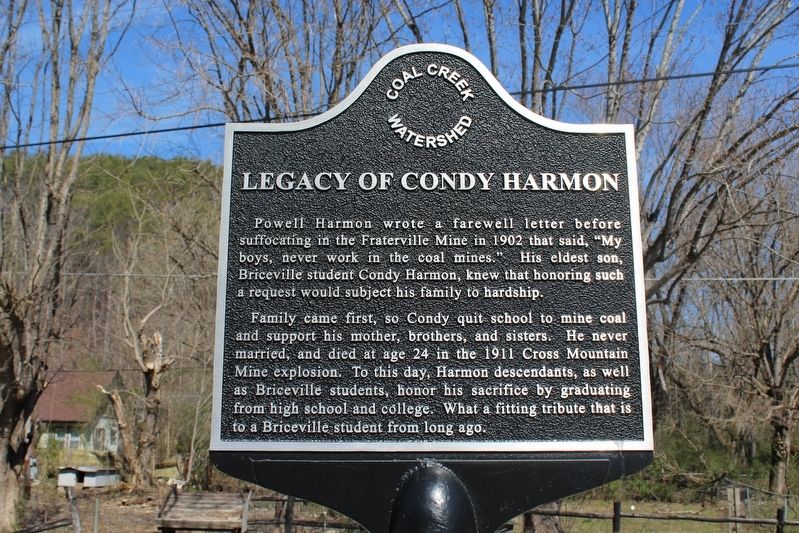 Legacy of Condy Harmon Marker image. Click for full size.