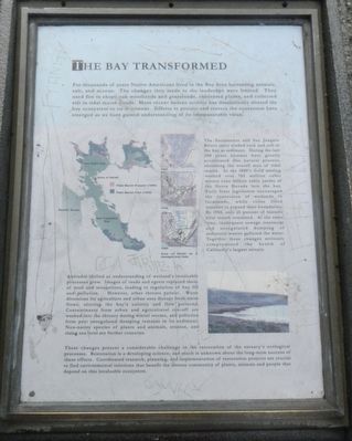 The Bay Transformed Marker. Click for full size. The Bay Transformed Marker image. Click for full size.