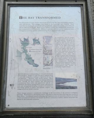 The Bay Transformed Marker image. Click for full size.