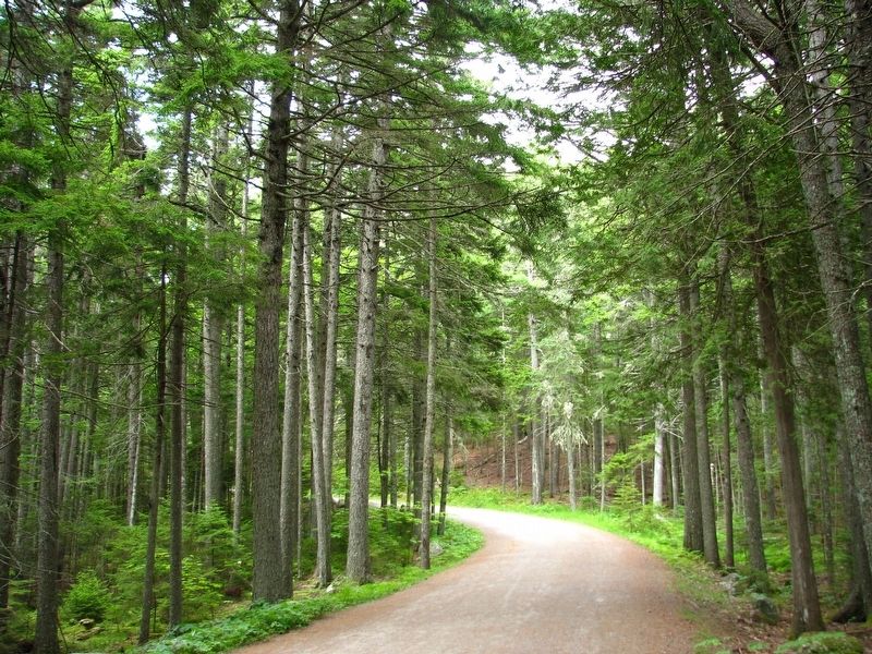 Carriage Road (<b><i>near the marker</b></i>). Click for full size. Carriage Road (<b><i>near the marker</b></i>) image. Click for full size.