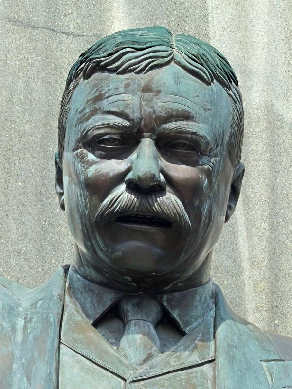 Theodore Roosevelt image. Click for full size.