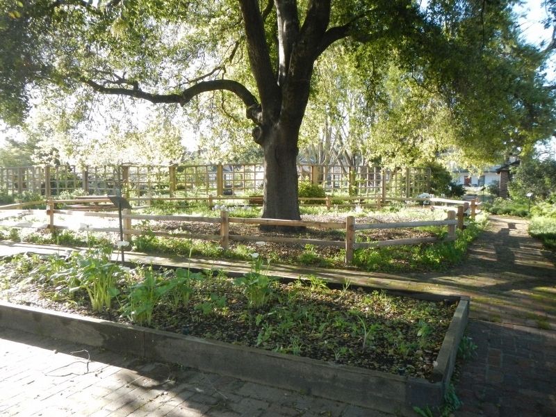 Luther Burbank Gardens image. Click for full size.