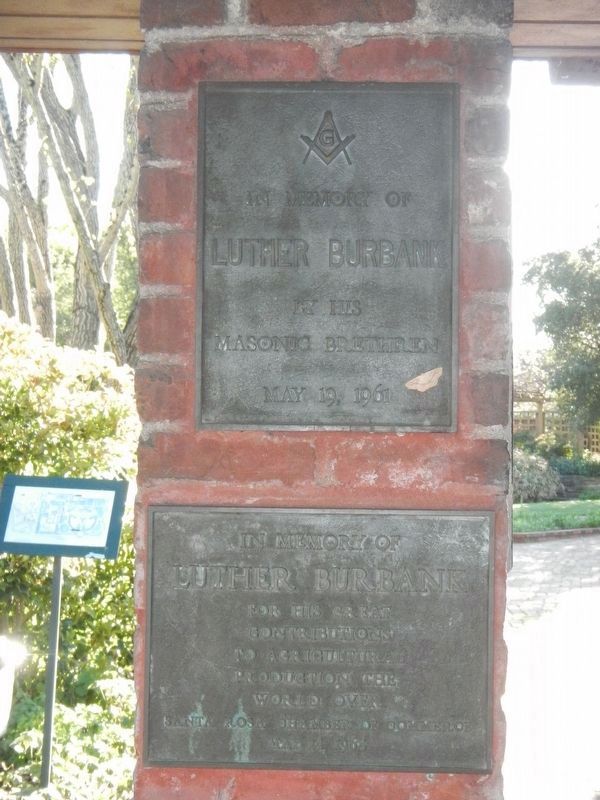 Additional plaques located at Luther Burbank Home & Gardens image. Click for full size.