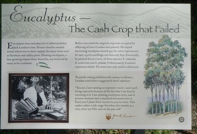 Eucalyptus - The Cash Crop that Failed Marker image. Click for full size.