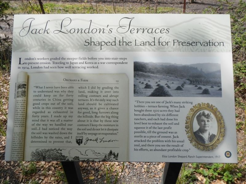 Jack London's Terraces Shaped the Land for Preservation Marker image. Click for full size.