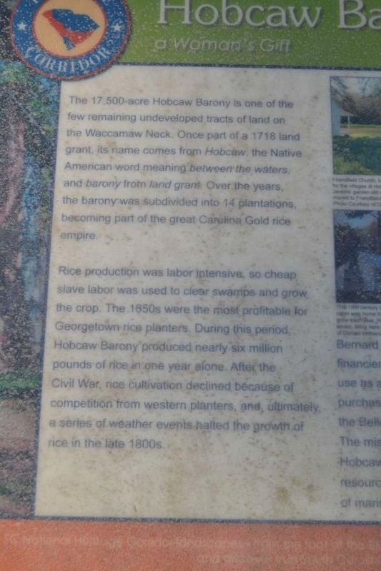 Hobcaw Barony Marker. Click for full size. Hobcaw Barony Marker image. Click for full size.