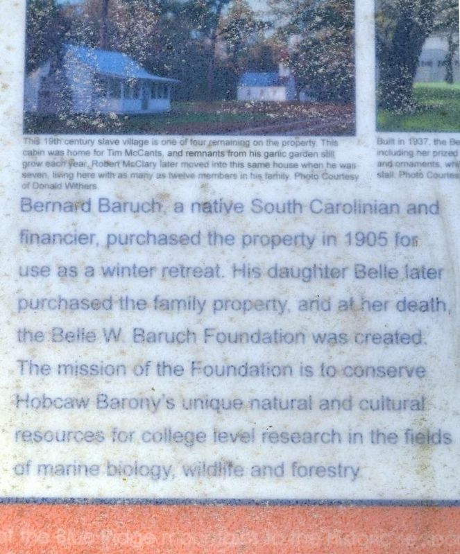 Hobcaw Barony Marker image. Click for full size.