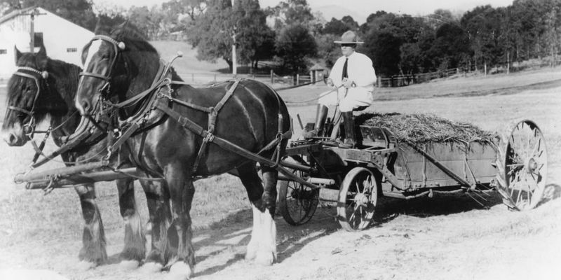 Jack London on a manure wagon. Click for full size. Jack London on a manure wagon image. Click for full size.