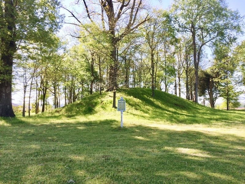 View of marker and Indian Mound in background. image. Click for full size.