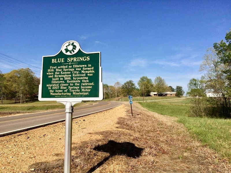 Blue Springs Marker looking north towards County Road 209 (right turn). image. Click for full size.