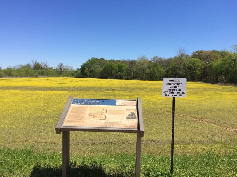View of battlefield, recently saved, and marker. image. Click for full size.
