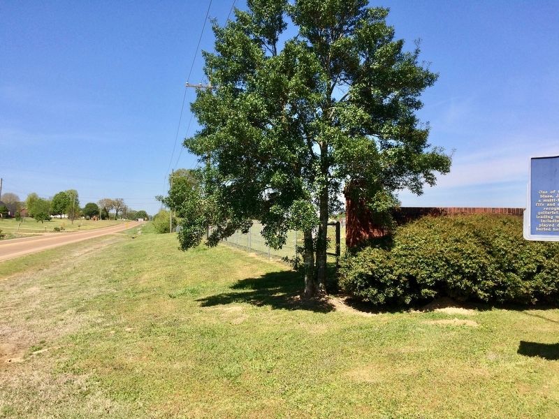 View from marker north on U.S. Highway 51. image. Click for full size.