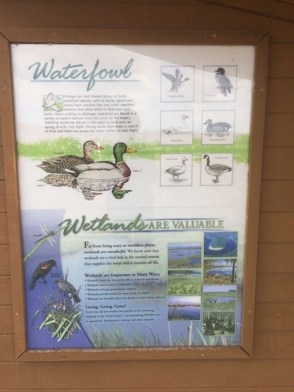Waterfowl Marker image. Click for full size.