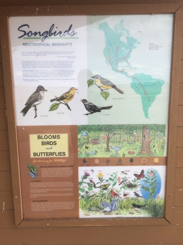 Songbirds Marker image. Click for full size.