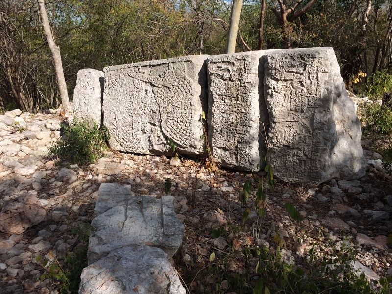 An unprotected Stela 11 with visible inscriptions at the Stelae Building.. Click for full size. An unprotected Stela 11 with visible inscriptions at the Stelae Building. image. Click for full size.