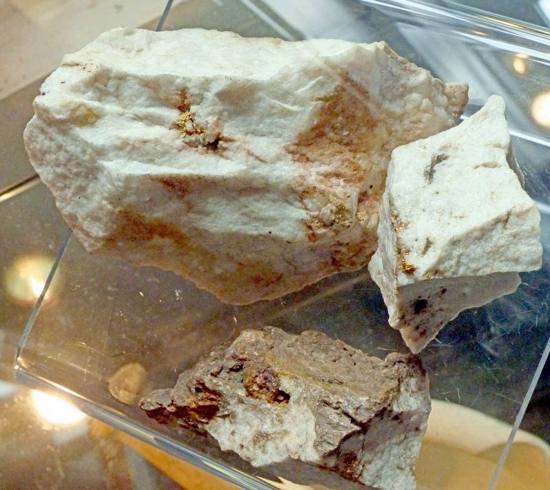 Native Gold on Quartz<br>Recovered from the Maryland Mine. Click for full size. Native Gold on Quartz<br>Recovered from the Maryland Mine image. Click for full size.
