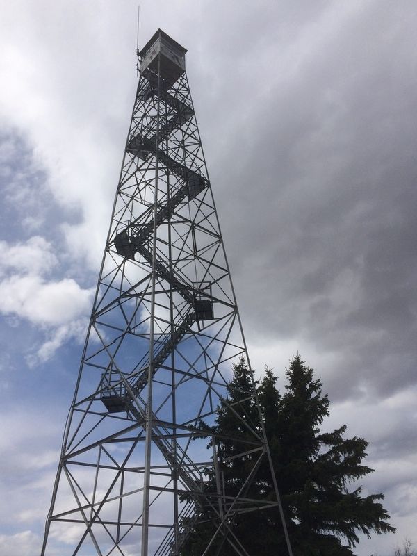 Sand Lake's Observation Tower image. Click for full size.