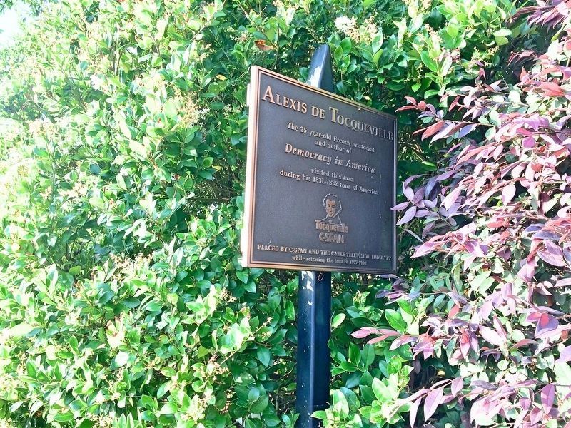 Alexis de Tocqueville Marker being enveloped by the shrubbery. image. Click for full size.