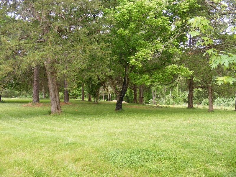 The "Enchanted Castle" site. Click for full size. The "Enchanted Castle" site image. Click for full size.
