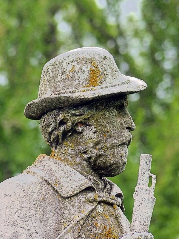 Confederate Sentinel. Click for full size. Confederate Sentinel image. Click for full size.
