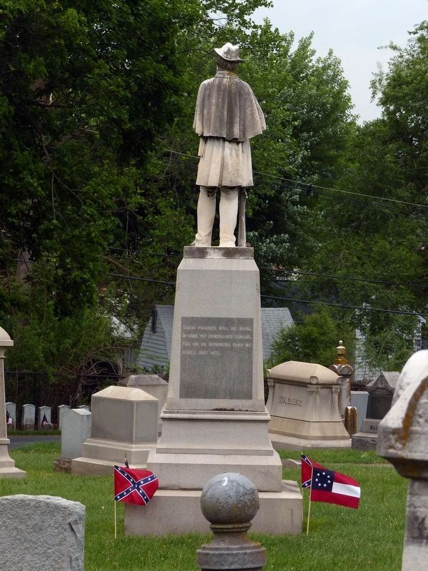 Confederate Sentinel. Click for full size. Confederate Sentinel image. Click for full size.