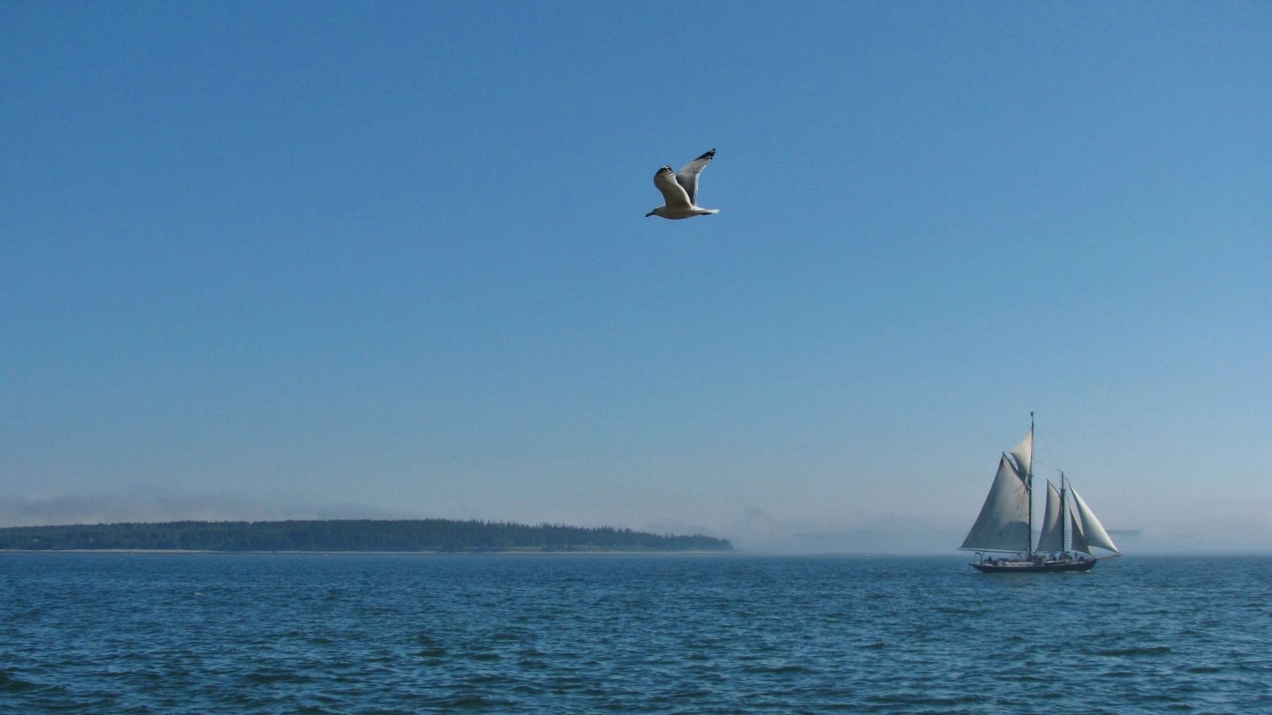 Gull & Schooner (<i><b>view from light station</i></b>) image. Click for full size.