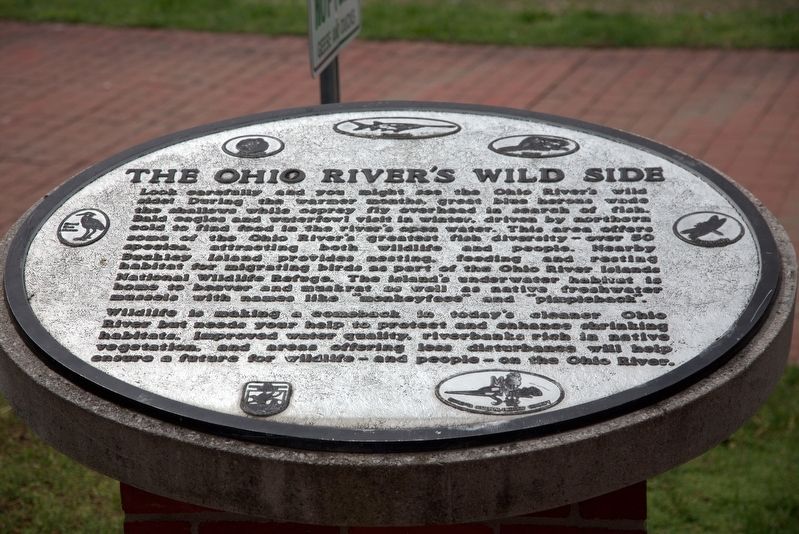 The Ohio River’s Wild Side Marker image. Click for full size.