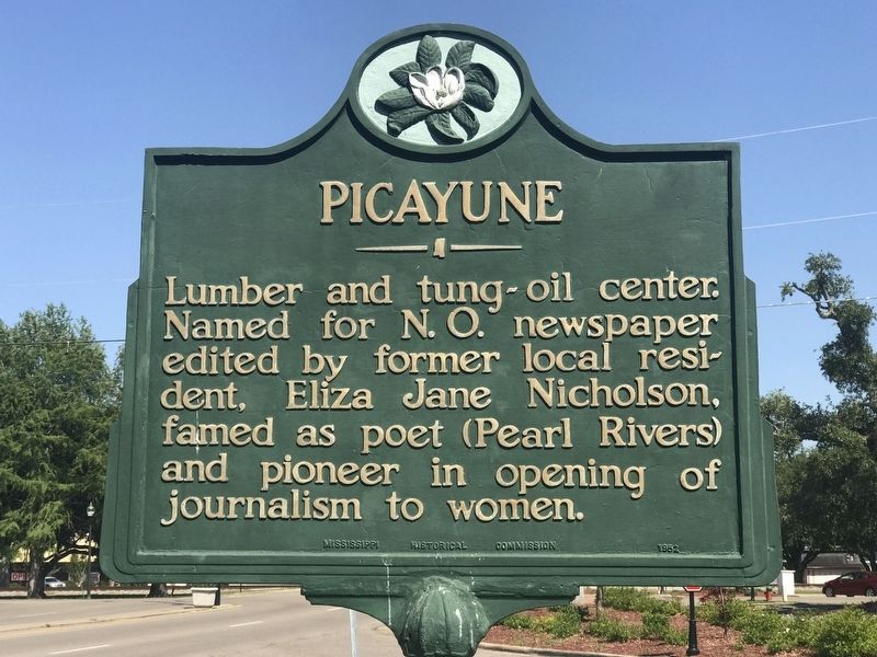 Picayune Marker image. Click for full size.