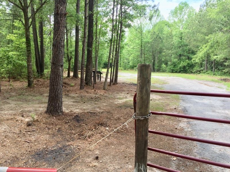 View from the road towards marker and picnic tables. image. Click for full size.