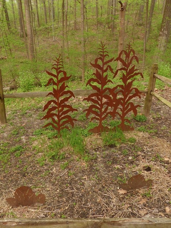 The Kitchen Garden image. Click for full size.