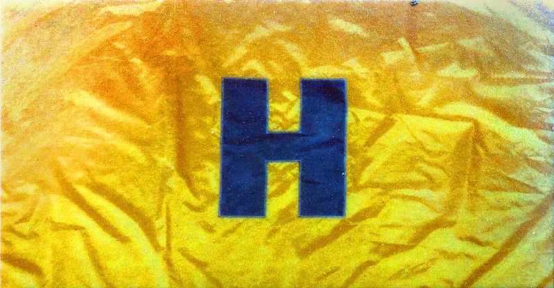 Hospital Flag image. Click for full size.