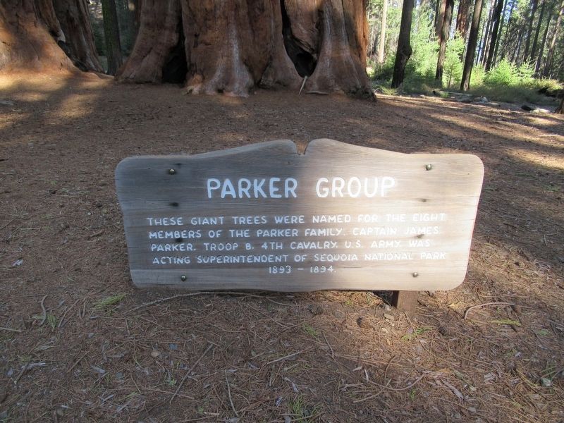 Parker Group image. Click for full size.