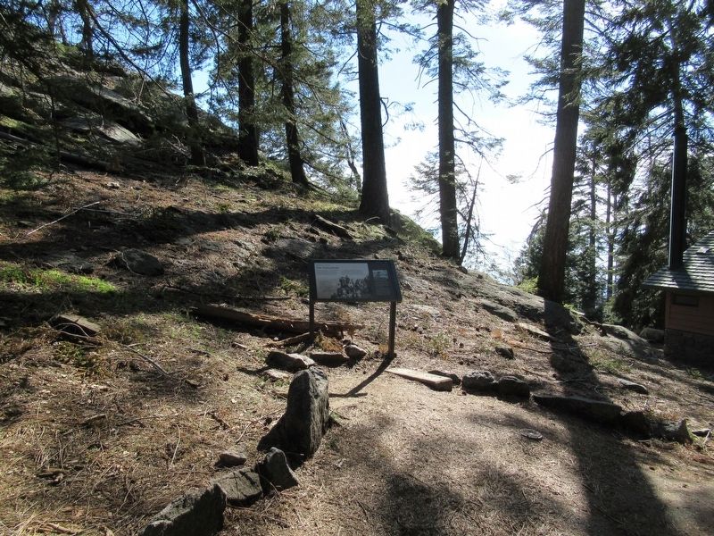 The Naturalists Marker. Click for full size. The Naturalists Marker image. Click for full size.