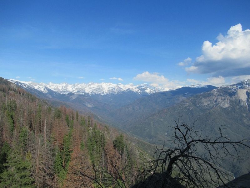 View from Moro Rock. Click for full size. View from Moro Rock image. Click for full size.
