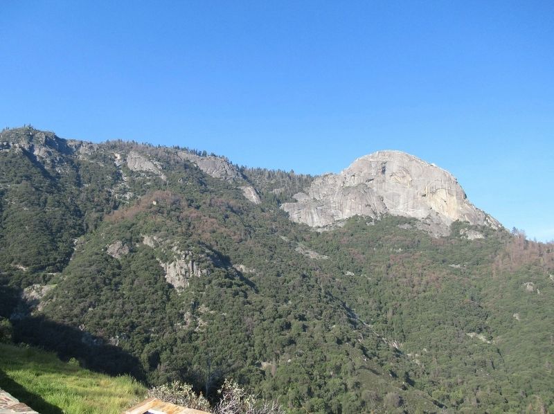 Moro Rock from the road into Sequoia National Park. Click for full size. Moro Rock from the road into Sequoia National Park image. Click for full size.