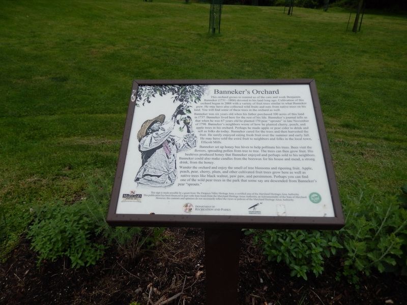 Banneker's Orchard Marker. Click for full size. Banneker's Orchard Marker image. Click for full size.
