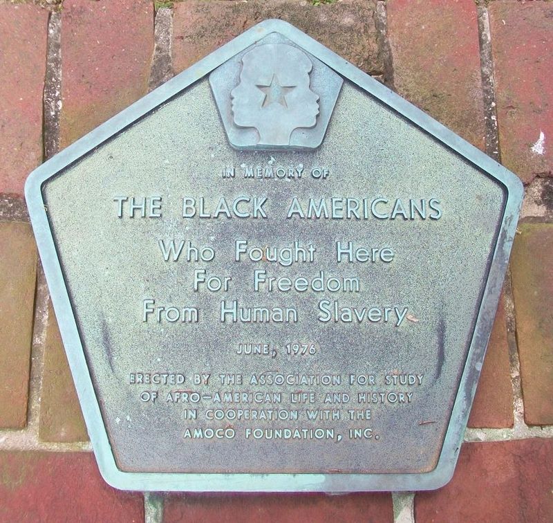 The Black Americans Marker image. Click for full size.
