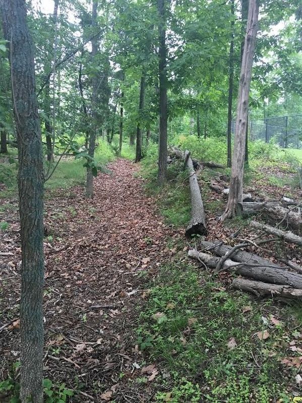 Confederate Earthworks image. Click for full size.