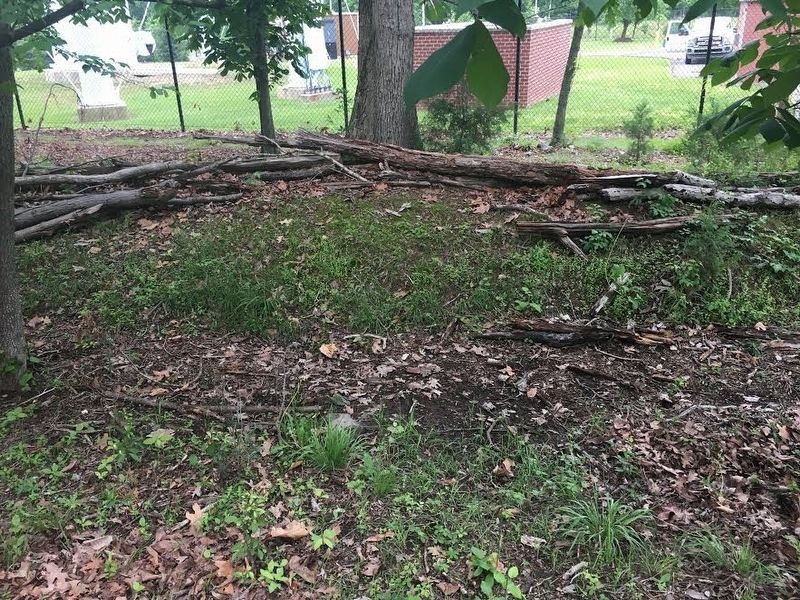 Confederate Earthworks image. Click for full size.