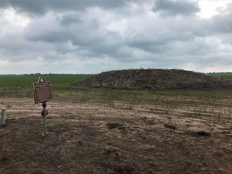 Elkhorn Plantation Mound and Marker image. Click for full size.