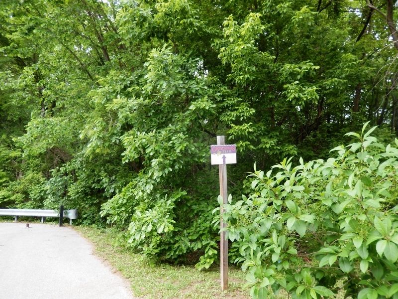 Gwynns Falls Trail Marker-Directional sign image. Click for full size.