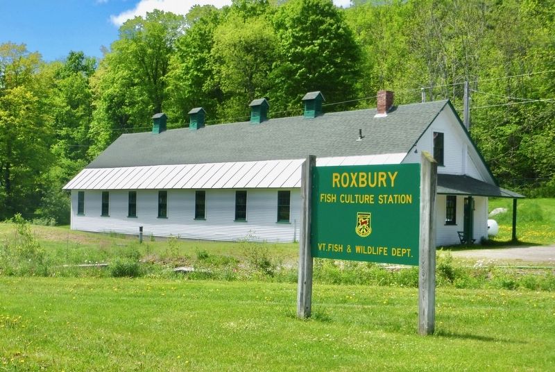 Roxbury Fish Culture Station image. Click for full size.
