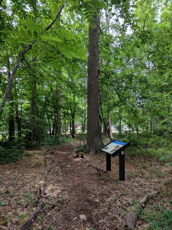 Battle of Big Bethel Marker. Click for full size. Battle of Big Bethel Marker image. Click for full size.