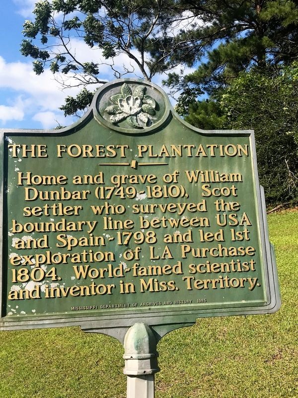 The Forest Plantation Marker image. Click for full size.