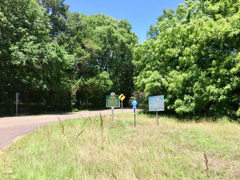View of marker looking north on Old Port Gibson Road. image. Click for full size.