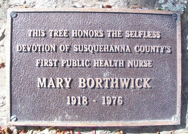 Mary Borthwick Marker. Click for full size. Mary Borthwick Marker image. Click for full size.